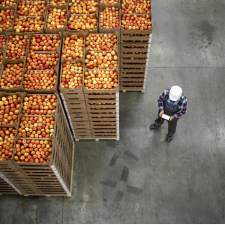 Professional steam cleaner for food production